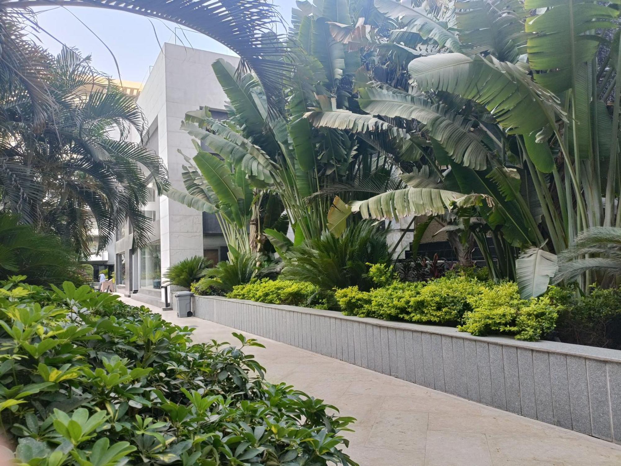 Sheraton Ocean 601-A - Private Apartments 开罗 外观 照片
